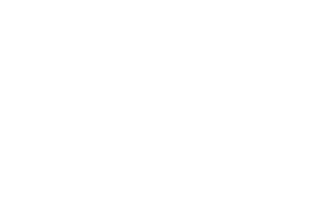 Staropoli Strategies